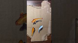 Cardboard drawing😲#youtube #art #realastic #drawing #shortvideo #cardboard #fish