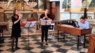 G. Ph. Telemann: Trio C dur | Anna & Barbora Špelinovy | MLŠSH Valtice 2015