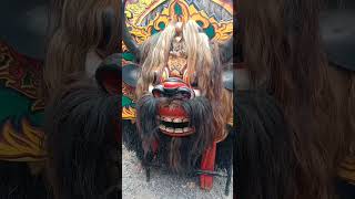 BARONG KUMBO JWK #senibanyuwangi #jarananbanyuwangi #barongbanyuwangi