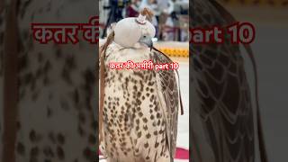 Richest country Qatar | KATARA INTERNATIONALHUNTING AND FALCONSEXHIBITION