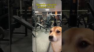 Vi Uma Academia Vazia #humor #treinos #treino #dieta #nutrição #nutricionista #fitness #cachorros