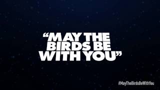 Angry Birds Star Wars 2 character reveals  Luke Skywalker Jedi