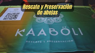 Les presento Kaaboli Un súper proyecto