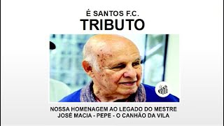 TRIBUTO AO MESTRE PEPE -- JOSÉ MACIA -- O CANHÃO DA VILA