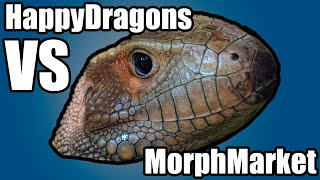 Caiman Lizard helps me recap MorphMarket vs HappyDragons