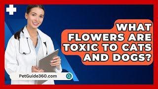 What Flowers Are Toxic to Cats and Dogs? - PetGuide360.com