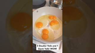 3 Double-Yolk Eggs is so Amazing! #egg #eggs #eggshorts #shorts #short #viral #viralvideo