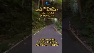 RUTE JALAN MENUJU MENARA TERTINGGI DI PUNCAK #shortvideo #shorts #short #motovlogbogor #vario160