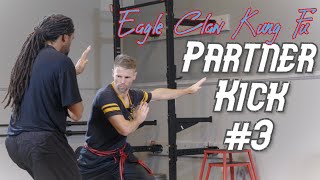 Eagle Claw Kung Fu Kick and Sweep Drill