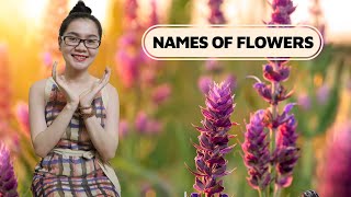 Vocab46 - Tên các loài hoa (Names of Flowers) - Part 1