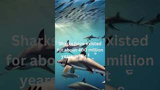 "Sharks Existed Before Trees!"#Sharks #Evolution #Paleontology#shorts