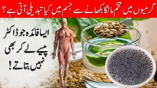 Benefits Of Basil Seeds || Tukhm E Balango Kay Fawaid || Islam Advisor