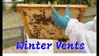 Should You Vent Hives for Winter?