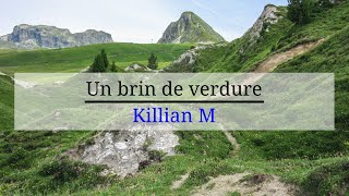 Un brin de Verdure  - Killian M