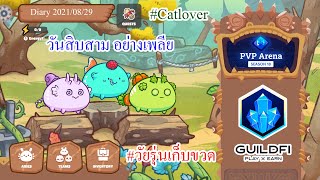 Axie Infinity Diary 2021/08/29 - วันสิบสาม อย่างเพลีย