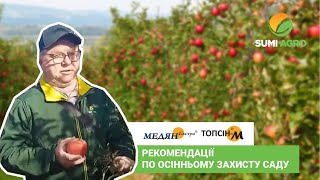 Осінній захист саду: як допоможуть ТОПСІН-М та МЕДЯН ЕКСТРА