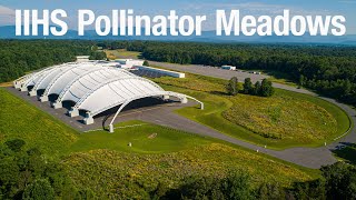 Learn about the IIHS Pollinator Meadows