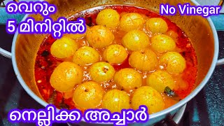 രുചിയൂറും നെല്ലിക്ക അച്ചാർ👌😋 | Nellikka Achar | Gooseberyy / Amla Pickle Kerala Style