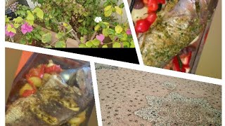 سمك في الفرن وسمك مقلي 😋طلة للزرعات🌿🥀🌱🍂🍁دردشة خفيفة😅