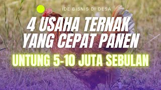 4 USAHA TERNAK YANG CEPAT PANEN YANG MENGUNTUNGKAN -UNTUNG 5-10 JUTA/BULAN! Peluang Usaha Peternakan