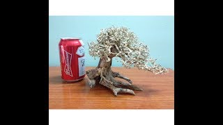 Decorative Driftwood