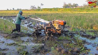 Traktor Sawah Nyingkal Tanah Dalam Sebisanya Langsung Lanjut Di Garu