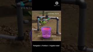 Fertigation through venturi tube method| Drip Irrigation