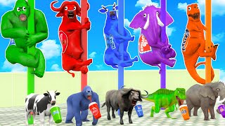 Cow Elephant Gorilla Tiger Dinosaur Choose The Right Drink Wild Animal Crossing Fountain Cage Game