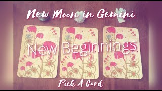 New Moon in Gemini🌙♊️ New Beginnings, What's Next | PICK A CARD | TIMELESS