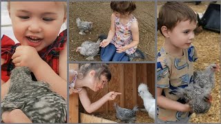 We Are Animal Lovers & So Are Our Kids.........So We Built a Chicken Hatchery......1000+ chickens..