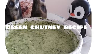 Green chutney /green sauce /coriander mint sauce 09.09.2024