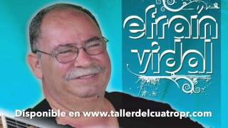 Tavin Pumarejo "Efraín Vidal"