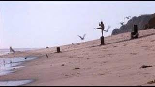 The Karate Kid OST 19. Daniel Sees the Bird