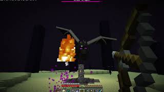 The Public SMP server first EnderDragon Fight