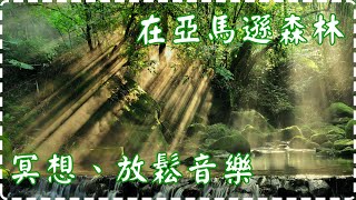 在亞馬遜森林冥想、放鬆休息🌴【一小時】 | 瑜伽音樂 | 心靈音樂 | 冥想音樂 | Amazon Meditation Relax