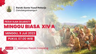 PERAYAAN EKARISTI MINGGU BIASA XIV A - Minggu, 9 Juli 2023