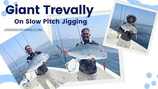 Giant Trevally on slow pitch jigging #fishing #fishingvideo