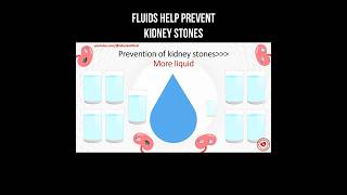 Fluids help prevent kidney stones #fluids #kidneystone #kidneyhealth #renalcare