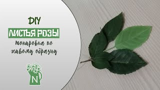 Листья розы из холодного фарфора или фоамирана. Тонировка по живому образцу. DIY