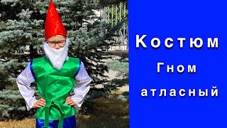 Карнавальный костюм Гном атласный.