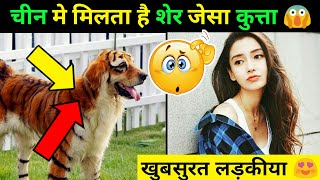 5 Amazing Facts About China | Amazing Facts | Facts In Hindi | FactGuru Raj