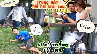 TTT Siêu Phẩm: Trung Bẻm Hái 2 Trái Táo Cấm,Rìu Khờ Lộ Suýt Ghẻ