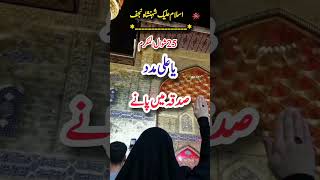 قصیدہ مولا علی ع#shortvideo #newvideo