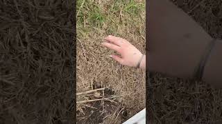 POV you touch grass for the first time