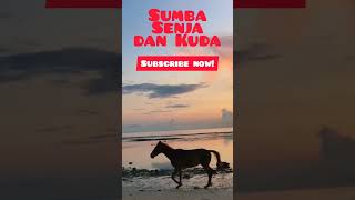 Dan nikmat Tuhanmu yang mana yang kau dustakan... #Arrahman #sumba #senja #kuda #shorts