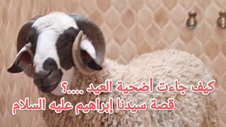 عيد الأضحى... قصة سيدنا إبراهيم عليه السلام