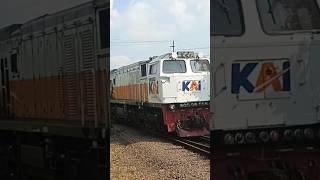 KA Argo Wilis Melintas Di Tiber Stasiun Indihiang #huntingkeretaapi #tasikmalaya #railfansindonesia