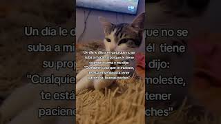 un consejo de mi gato