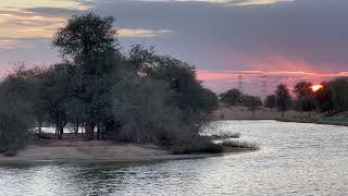 Sunrise at Al Qudra lake