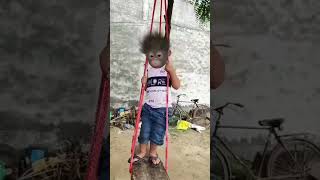 dhinka Chika  monkey baby funny video 🐵🥅🛷🍌🍼🤣😅😂#monkey #viralvideo#bandar#funny #aaryavnaagar#comedy